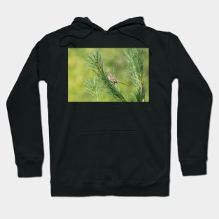 Bed Of Needles Hoodie